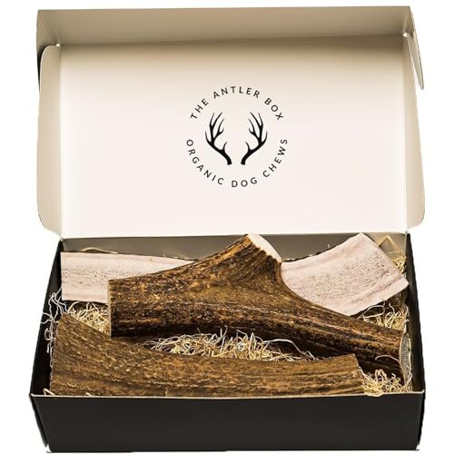 The Antler Box Premium Elk Antler Dog Chews (1 pound Box) (Best Value/Most popular)