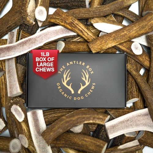 The Antler Box Premium Elk Antler Dog Chews (1 pound Box) (Best Value/Most popular)