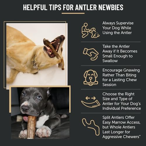 The Antler Box Premium Elk Antler Dog Chews (1 pound Box) (Best Value/Most popular)