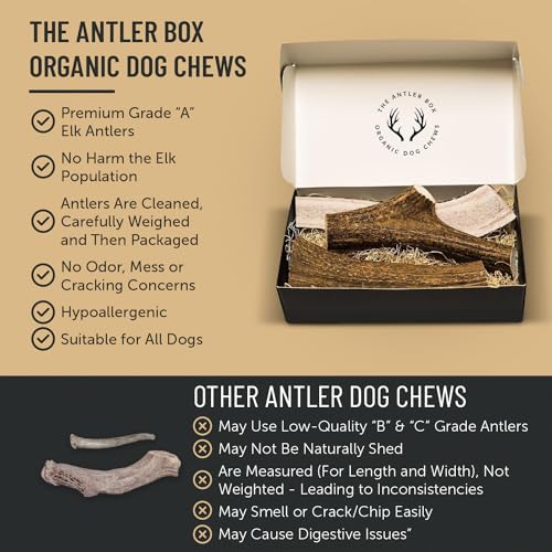 The Antler Box Premium Elk Antler Dog Chews (1 pound Box) (Best Value/Most popular)