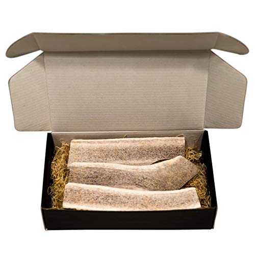The Antler Box Premium Elk Antler Dog Chews (1 pound Box) (Best Value/Most popular)