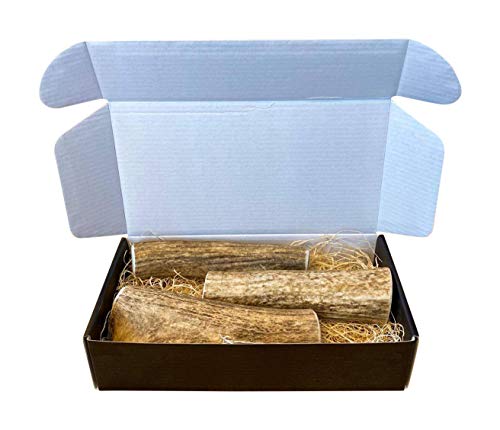 The Antler Box Premium Elk Antler Dog Chews (1 pound Box) (Best Value/Most popular)