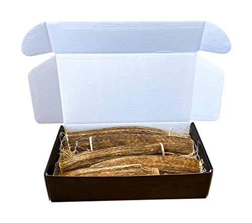 The Antler Box Premium Elk Antler Dog Chews (1 pound Box) (Best Value/Most popular)