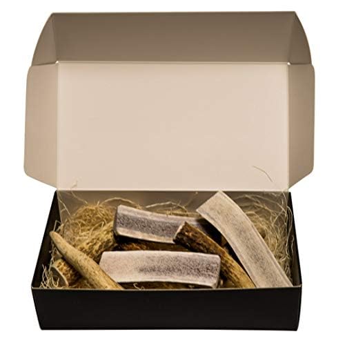 The Antler Box Premium Elk Antler Dog Chews (1 pound Box) (Best Value/Most popular)