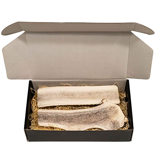 The Antler Box Premium Elk Antler Dog Chews (1 pound Box) (Best Value/Most popular)