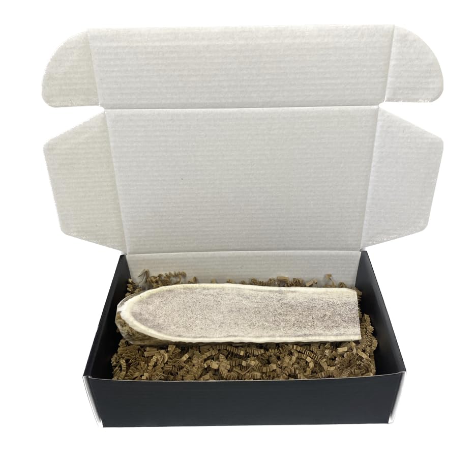 The Antler Box Premium Elk Antler Dog Chews (1 Piece Box)