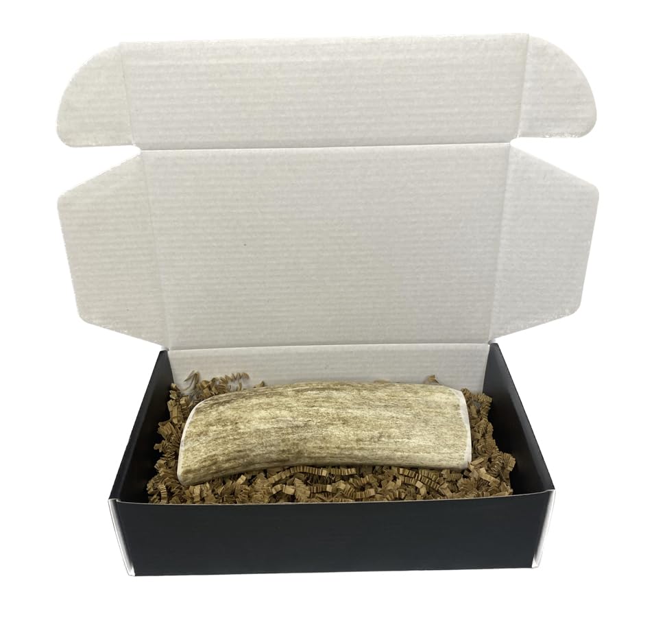 The Antler Box Premium Elk Antler Dog Chews (1 Piece Box)