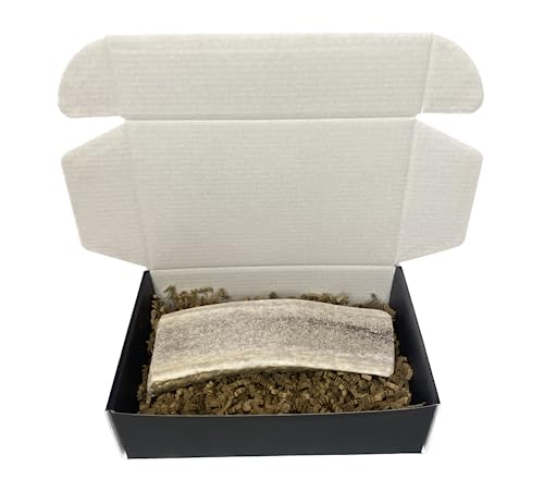 The Antler Box Premium Elk Antler Dog Chews (1 Piece Box)