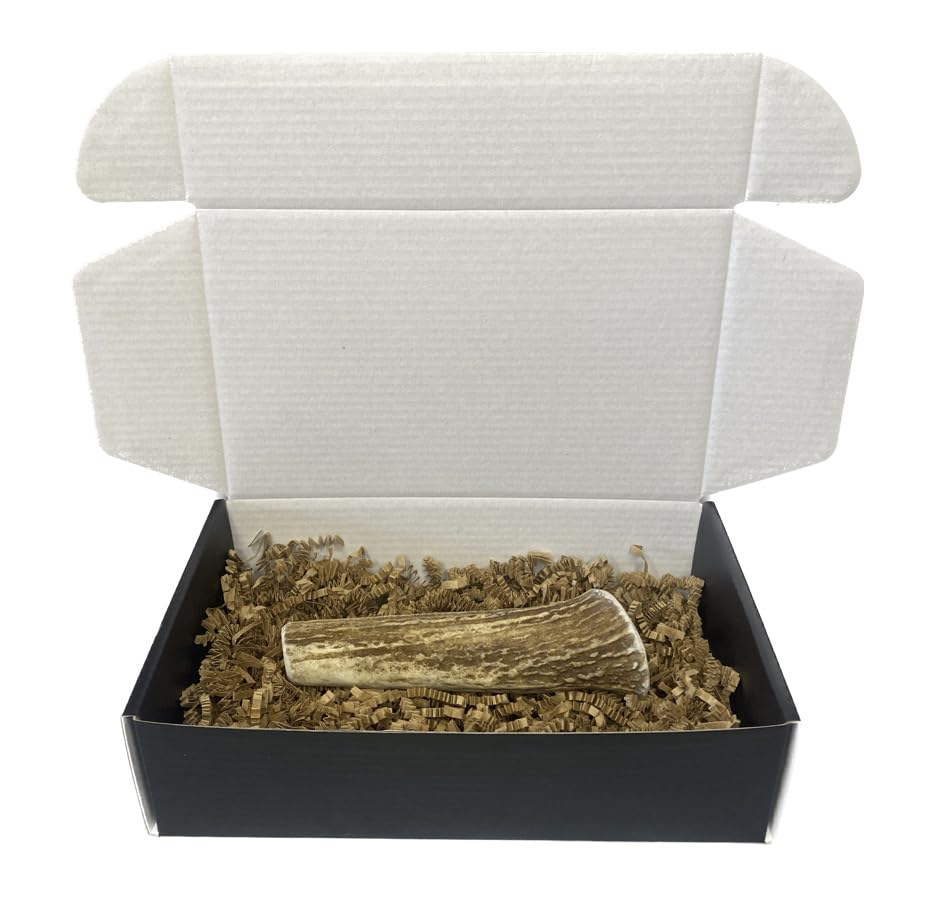 The Antler Box Premium Elk Antler Dog Chews (1 Piece Box)