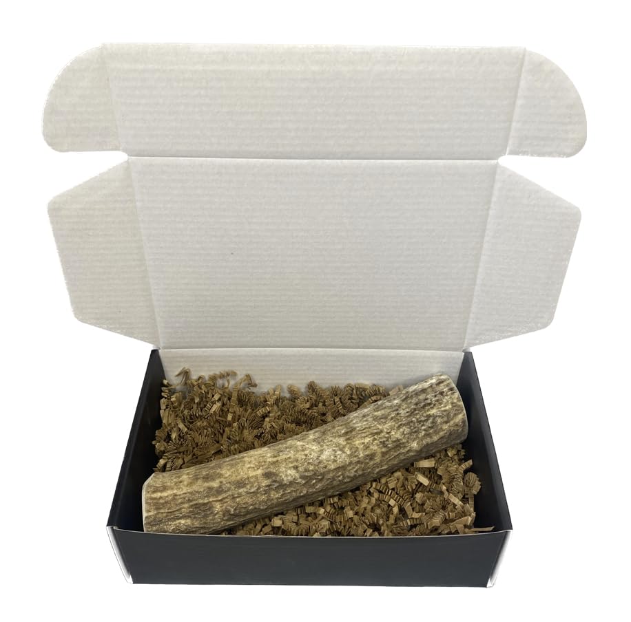 The Antler Box Premium Elk Antler Dog Chews (1 Piece Box)