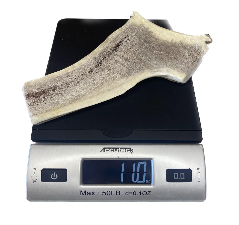 The Antler Box Premium Elk Antler Dog Chews (1 Piece Box)