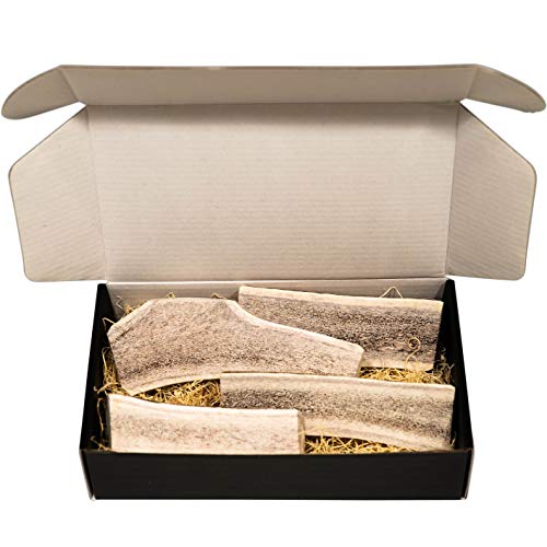 The Antler Box Premium Elk Antler Dog Chews (1 pound Box) (Best Value/Most popular)