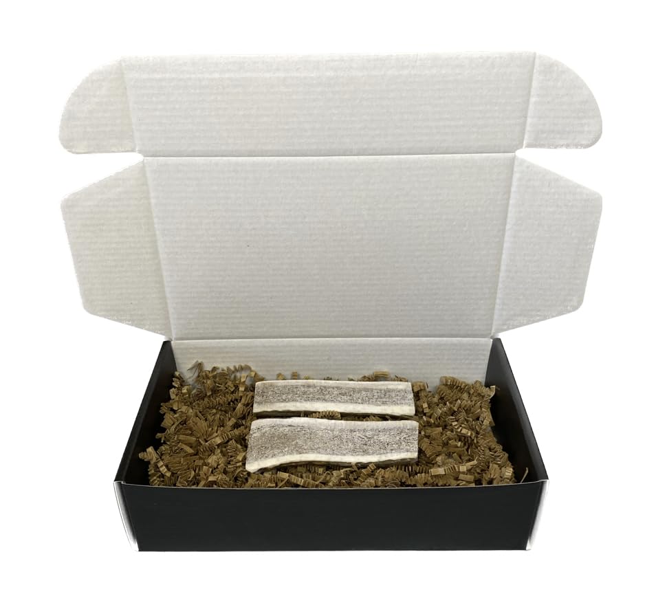 The Antler Box Premium Elk Antler Dog Chews (1 Piece Box)