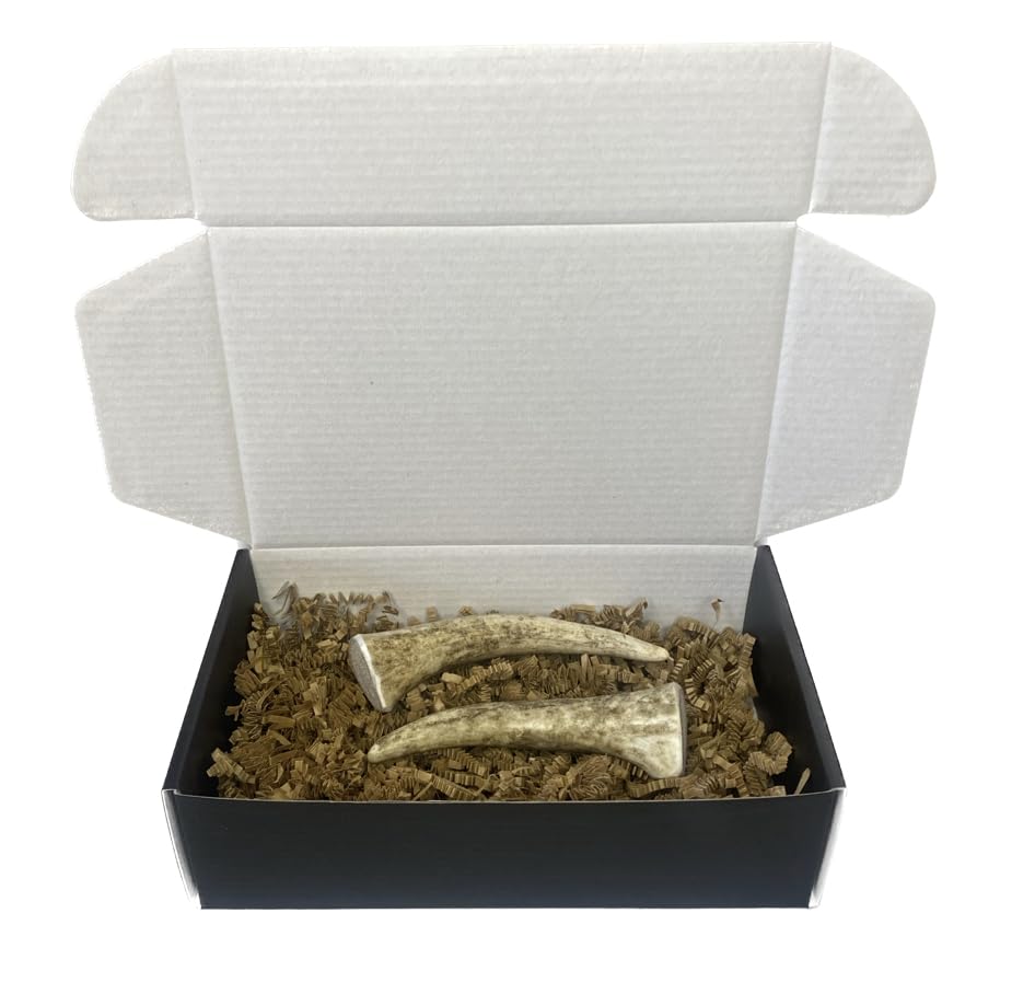 The Antler Box Premium Elk Antler Dog Chews (1 Piece Box)