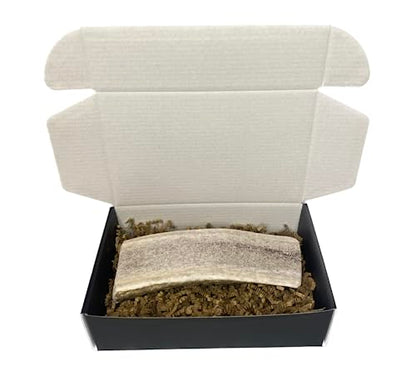 The Antler Box Premium Elk Antler Dog Chews (1 Piece Box)